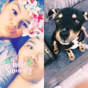 Meet your Posher, Tyler n